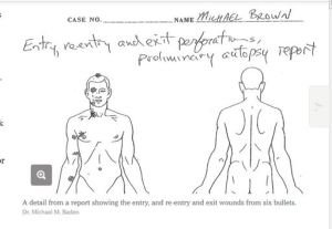 Michael Brown's autopsy