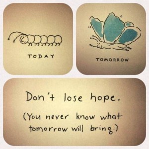 dont-lose-hope4