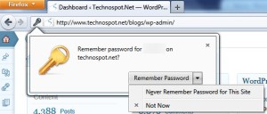 Firefox-Remember-Password-Key